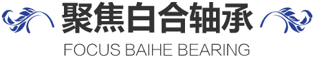 聚焦白合轴承 聚焦白合轴承